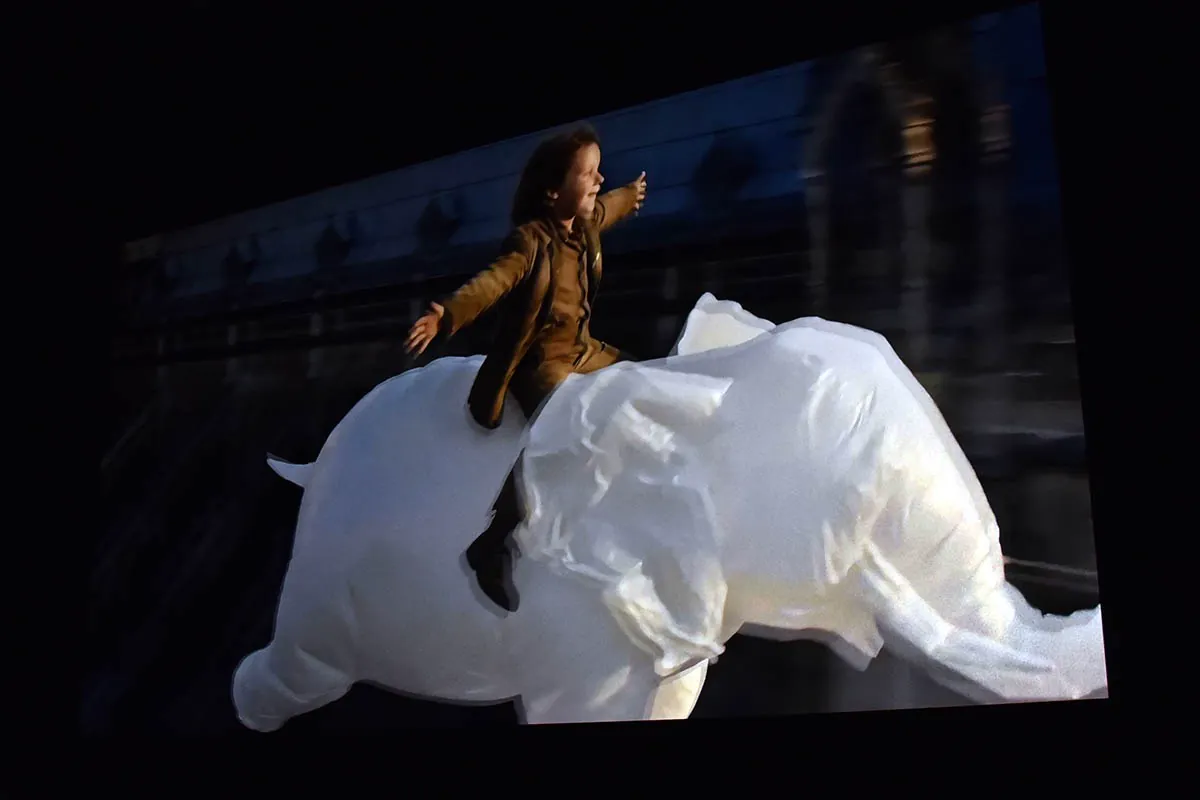 A film on the cinema screen during the gala