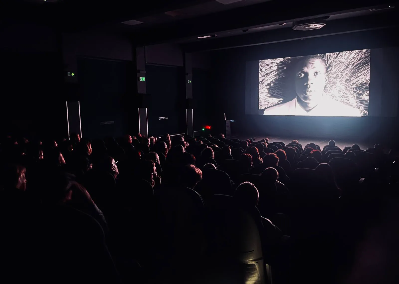 The audience in the darkened cinema during a screening